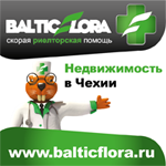 Недвижимость в Теплице