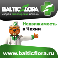 Недвижимость в Теплице
